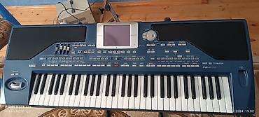 купить пианино беларусь: Korg Pa800 256 ram 603 versiya - 61 klaviş, hissiyyatlı və aftertouch — 1