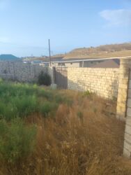 Bağ və bostan üçün digər məhsullar: Qobuda arkodan 1km metir məsafədə asvaltdan 20 metir içəridir 8 — 9