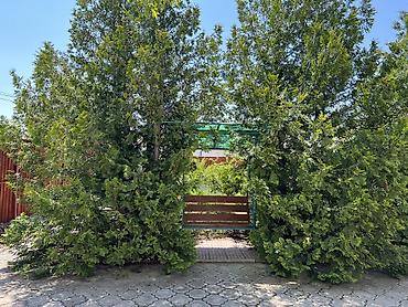 отель ыссык куль: 🏡 ГОТОВЫЙ ГОСТЕВОЙ ДОМ НА ИССЫК-КУЛЕ — ГОТОВЫЙ БИЗНЕС ДЛЯ ПОЛУЧЕНИЯ — 6