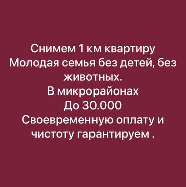 квартира в районе ошского рынка: 1 комната, 30 м², С мебелью