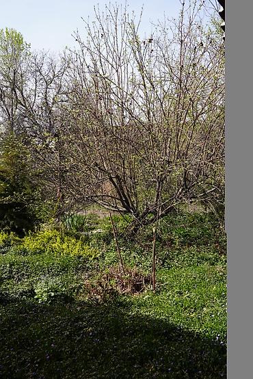 Продажа коттеджей и домов: Срочно Продам Дом Район: Интергельпо (200м от Дэн Сяопина) Участок at lalafo.kg — 4 Продажа коттеджей и домов: Срочно Продам Дом Район: Интергельпо (200м от Дэн Сяопина) Участок — 4