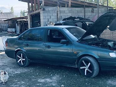туризмо машина: Volkswagen Passat: 1996 г., 1.9 л, Механика, Дизель, Седан — 1