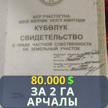 земельные участки иссык куль: 200 соток, Для сельского хозяйства