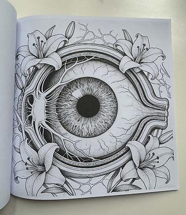 тексты: Анатомическая раскраска Human Anatomy Coloring Book для взрослых😻🫀 — 2