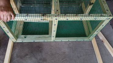 Товары и оборудование для с/х животных: Продаю клетки для цыплят и перепёлок