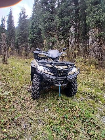 кудайберген шины: Квадроцикл CFMoto, Бензин, 850 куб. см, Чоңдор үчүн — 1
