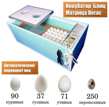 лоток для яиц: Инкубатор