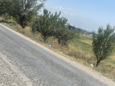 Продажа участков: 27000 соток, Для строительства, Договор купли-продажи — 22