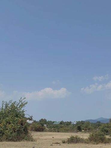 зарубежная недвижимость купить: 24 sot, Biznes üçün, Barter mümkündür, Kupça (Çıxarış)