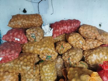 дом для котов: 500 сом за сетка