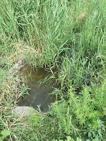 Продажа участков: 500 соток, Для сельского хозяйства, Красная книга — 6