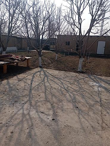 Продажа коттеджей и домов: Продажа хорошие дом для себя построили локацию хороший школы и детские at lalafo.kg — 4 Продажа коттеджей и домов: Продажа хорошие дом для себя построили локацию хороший школы и детские — 4