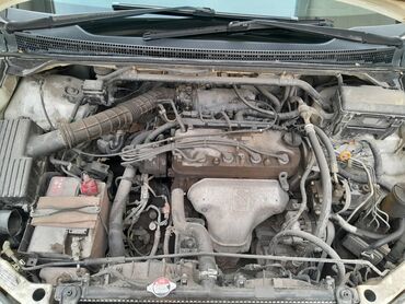 Honda: Honda Odyssey: 2000 г., 2.3 л, Автомат, Бензин, Минивэн — 5