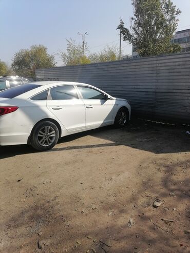 малометражки машины купить: Hyundai Sonata: 2019 г., 2.4 л, Автомат, Газ, Седан