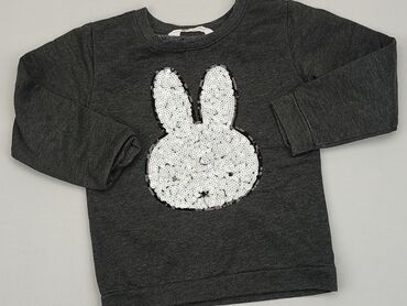 szary sweterek dla dziewczynki: Bluza, H&M, 5-6 lat, 110-116 cm, stan - Dobry
