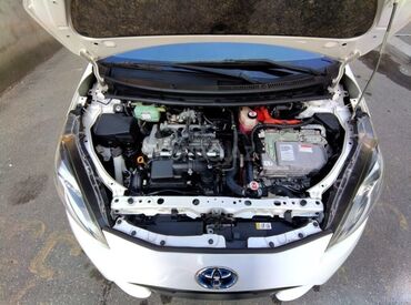 Toyota: Toyota : 1.5 l | 2019 il Hetçbek — 5