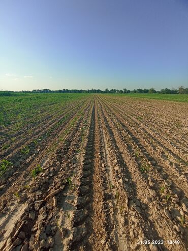 Продажа участков: 3000 соток, Для сельского хозяйства, Договор купли-продажи