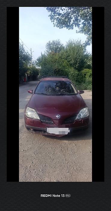 нисан универсал: Nissan Primera: 2002 г., 1.8 л, Механика, Бензин, Универсал — 1