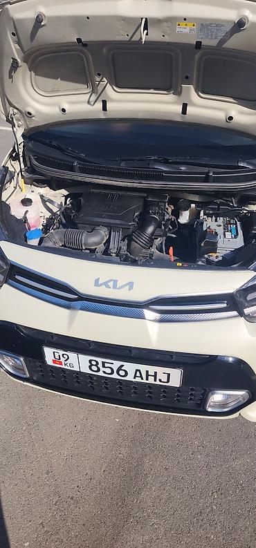 mini copper: Kia Morning: 2023 г., 1 л, Автомат, Бензин, Хэтчбэк — 5