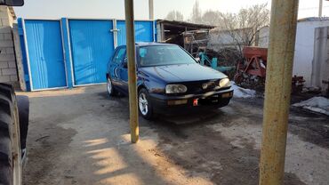 Volkswagen: Volkswagen Golf: 1995 г., 1.6 л, Механика, Бензин, Хэтчбэк