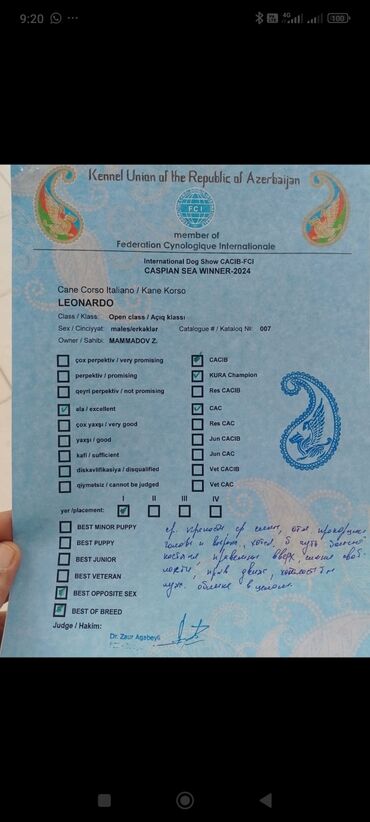 İtlər: 1 ay, Peyvəndli, Rayonlara çatdırılma, Ünvandan götürmə, Pulsuz çatdırılma — 1