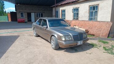 продаю пикап: Mercedes-Benz 280: 1995 г., 3.2 л, Механика, Бензин, Седан