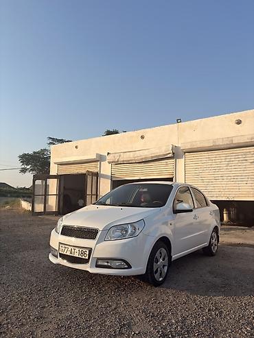 turbo az ford tranzit: Chevrolet Nexia: 1.5 l | 2023 il 90000 km Sedan — 2
