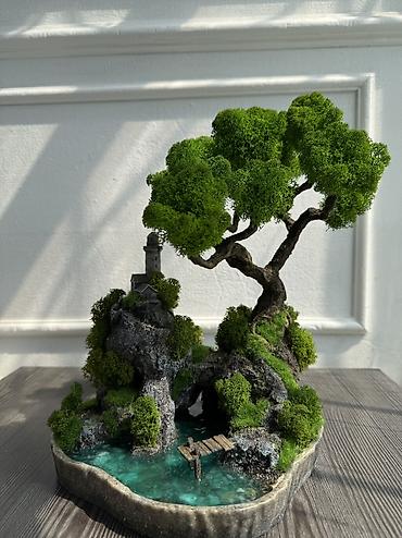 Декоративные цветы: Деревья-бонсай из натурального стабилизированного мха🌳 -это — 72