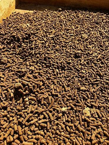 кальций для улиток: Мошный Куликовский торт для вашего скота Супер корм Увеличивается мясо — 1