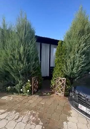 комтер: 🏡 Сдается уютный коттедж в ЦО «Париж» на Иссык-Куле 🌊 🌿 Райское место — 5
