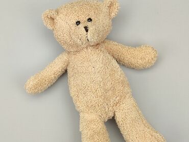 Mascots: Mascot Teddy bear, condition - Good