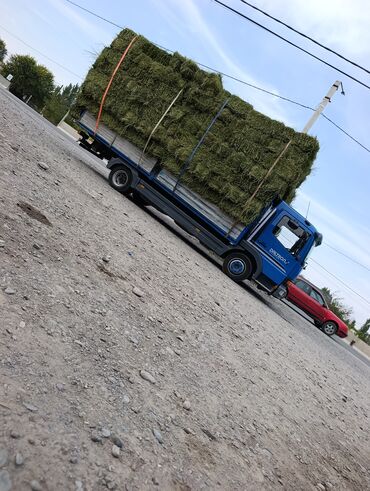 Зерновые культуры: Беде Беде Беде Клевер Клевер доставка укладка эсть. туки метровые — 3