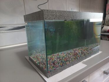 Akvariumi: AKVARIJUM za ribice dimenzija: D-40cm Š-21cm V-24,5cm sa dvodelnim — 8