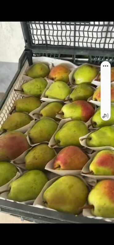 Ящики: Ящик, Новый — 12