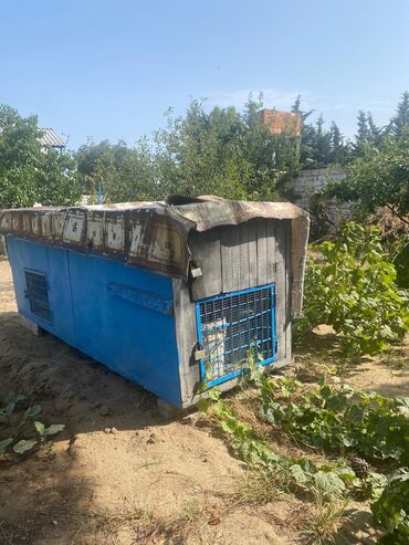 Digər: Heyvan üçün toyuq,dovşan və başqa hin satılır.üstü demirdi su