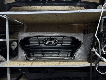 купить попугая корелла: Радиатор торлору Hyundai Оригинал