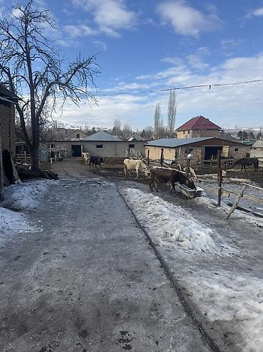 Продажа участков: 16 соток, Для бизнеса — 6