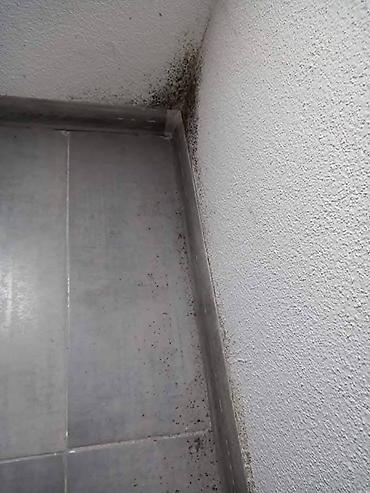 Kućna hemija i proizvodi za kuću: 🌿 PDP koncentrat – efikasno protiv buđi! 🌿 Za zdrav i čist dom bez — 18