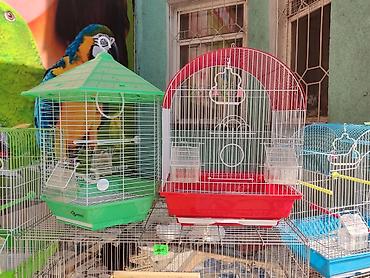 Зоотовары: Клетки для птиц и грызунов! — 2