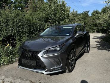 сиденья на sprinter: Lexus NX: 2017 г., 2 л, Автомат, Бензин, Кроссовер