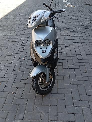 ducati мопед: Скутер REX RS 500 Street, 50 сс (по наклейкам модели). на ходу но — 1