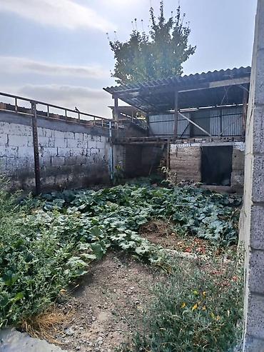 Үйлөр: Продаётся частный дом с хозяйственным двором. Основные — 7