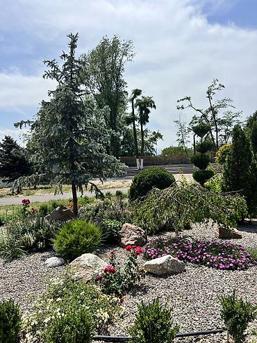 Дизайн, проектирование: Ландшафтный дизайн авто полив водопады пруды водоемы ручьи посев — 22