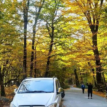 Sərnişin daşımaları: Minivan — 12