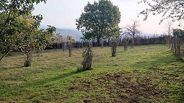 xacmazda satılan həyət evləri: 10 sot, Kənd təsərrüfatı, Kupça (Çıxarış) — 3