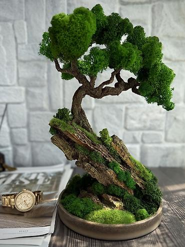 Другой декор и предметы интерьера: В переводе с японского Бонсай означает «дерево, выращенное в блюде» — 50