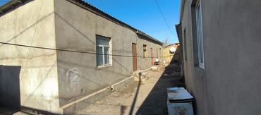 pərdə və divan: Pərdə və karniz komplekti - Model: qatlama tikişli, pliseli tül/pərdə
