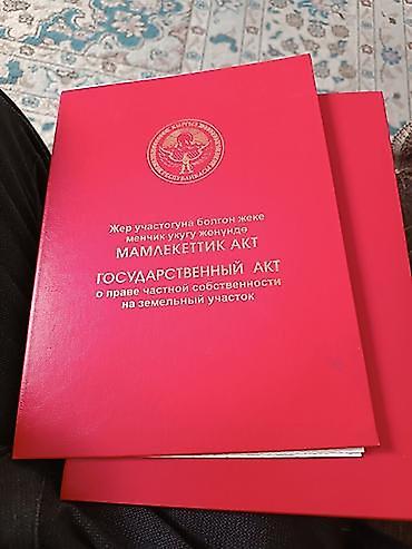 4 соток, Курулуш, Кызыл китеп — 1