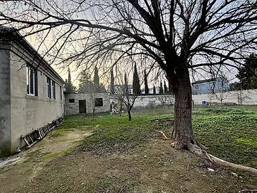 alatava ev: 10 sot, Tikinti, Mülkiyyətçi, Kupça (Çıxarış) — 10