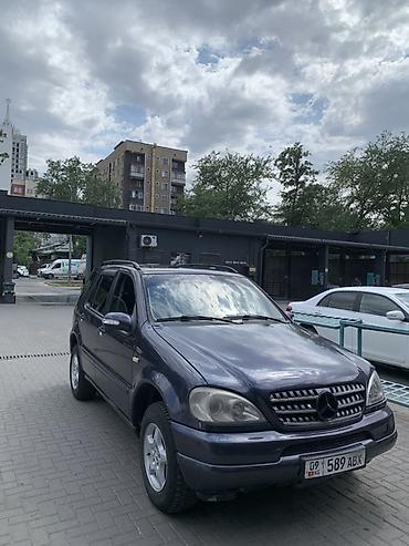 w163: Mercedes-Benz ML-Class: 1999 г., 3.2 л, Автомат, Внедорожник — 5